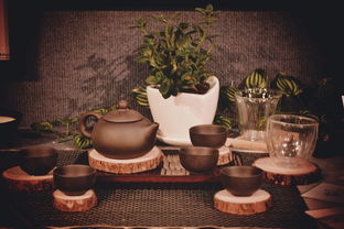 青春答卷2014——毕业设计《禅梦》 原创品牌衍生产品图书出租计划