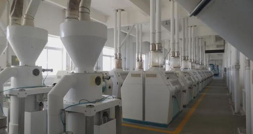 乡村振兴进行时 多措并举促就业，精准服务暖民心，文艺创作焕活力